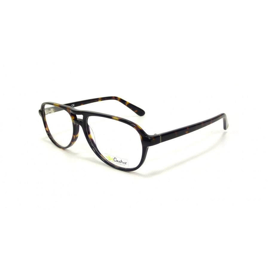 Lunettes de vue comme Terry Richardson